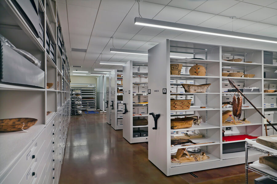 Museum Collection Shelves